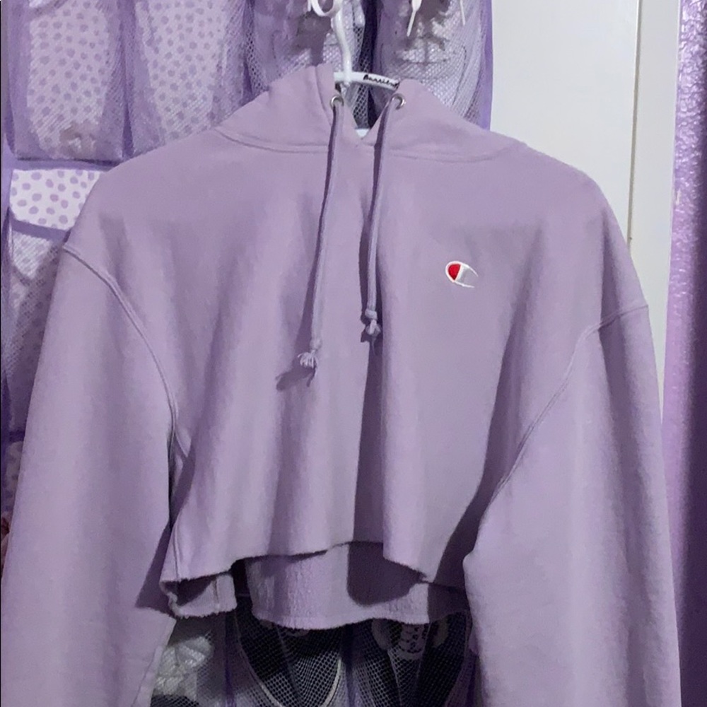This is a cropped champion hoddie